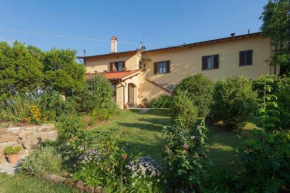 Villa Porcigliano Olive Grove